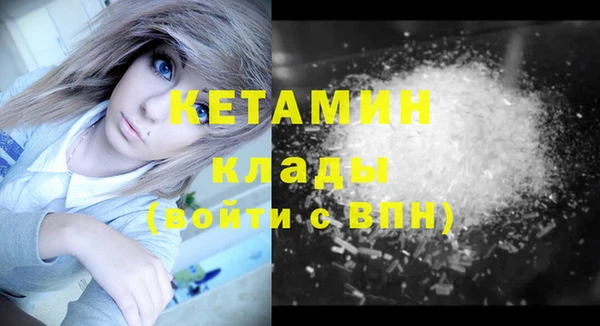 шишки Каменка
