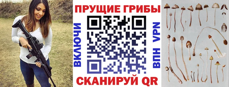 Псилоцибиновые грибы GOLDEN TEACHER  Губаха 
